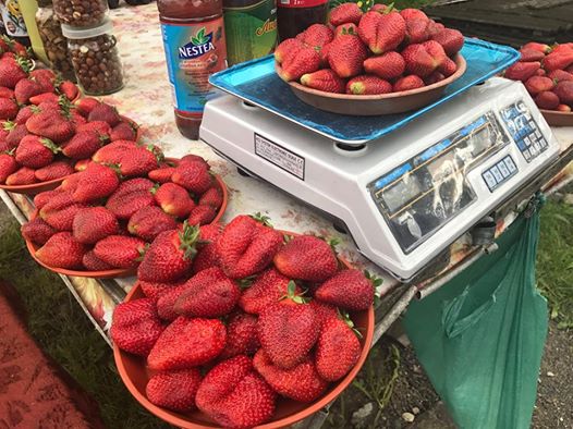 ФОТОФАКТ. На Виноградівщині відбірну полуницю продають вздовж доріг