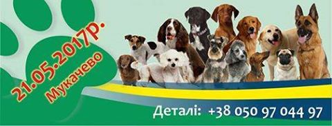 У Мукачеві відбудеться "Парад собак"