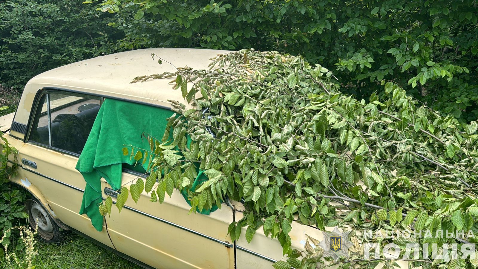 В Іршаві троє хлопців вкрали авто і замаскували його в лісі (ФОТО)