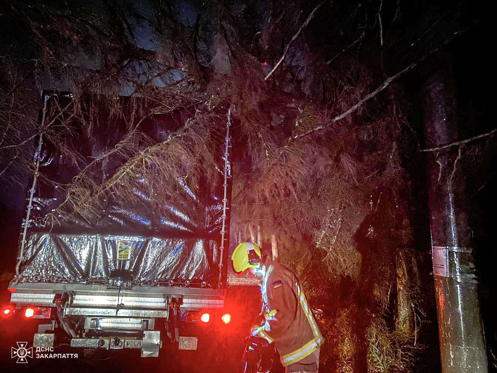 На Закарпатті нічна негода повалила 19 дерев, які пошкодили 2 авто (ФОТО)
